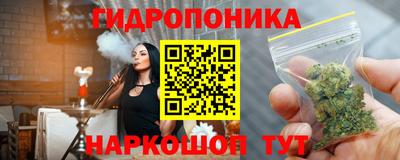 стаф Севастополь