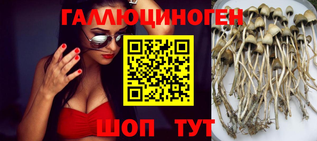 Орёл  Псилоцибиновые грибы Psilocybine cubensis  Вход с VPN 